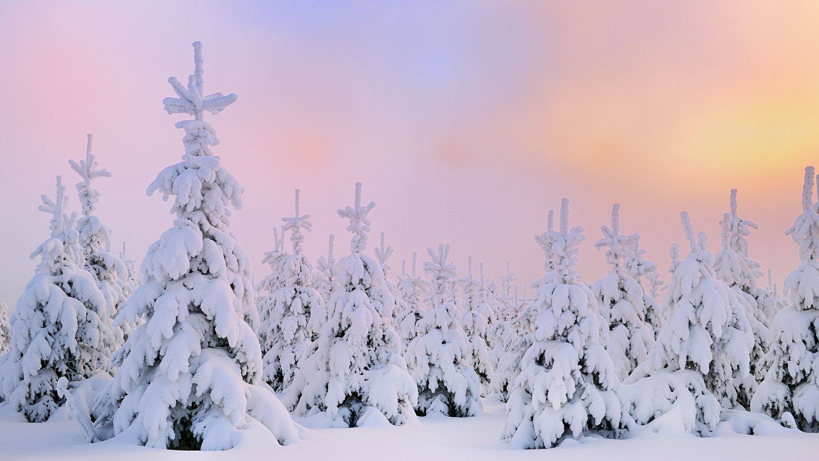 Featured image of post Aesthetic Backgrounds For Computer Winter