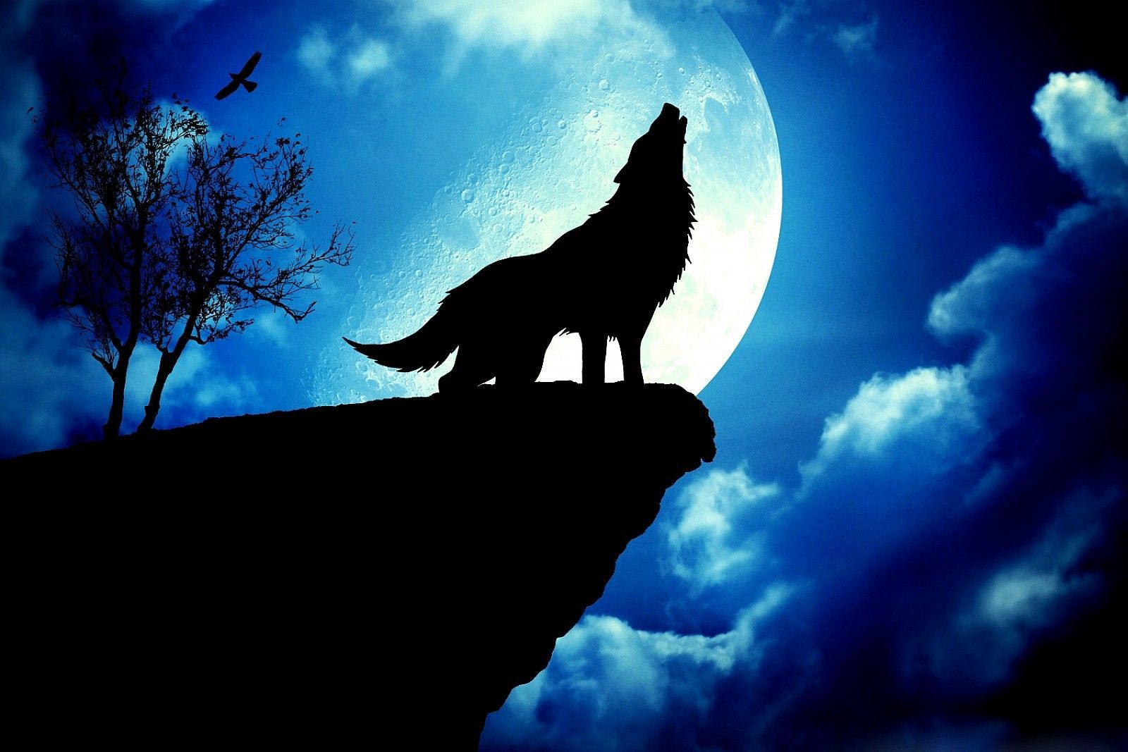 Featured image of post Epic Galaxy Wolf Wallpaper Howling