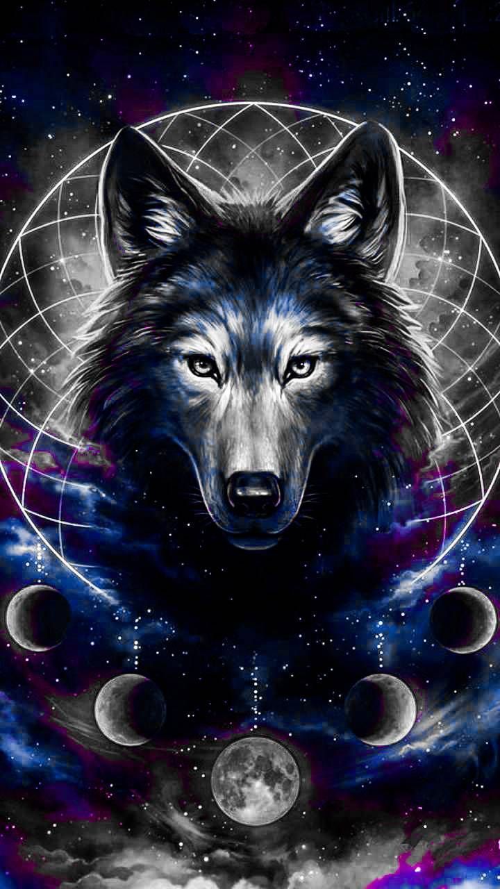 Featured image of post Galaxy Wolf Backgrounds For Phones