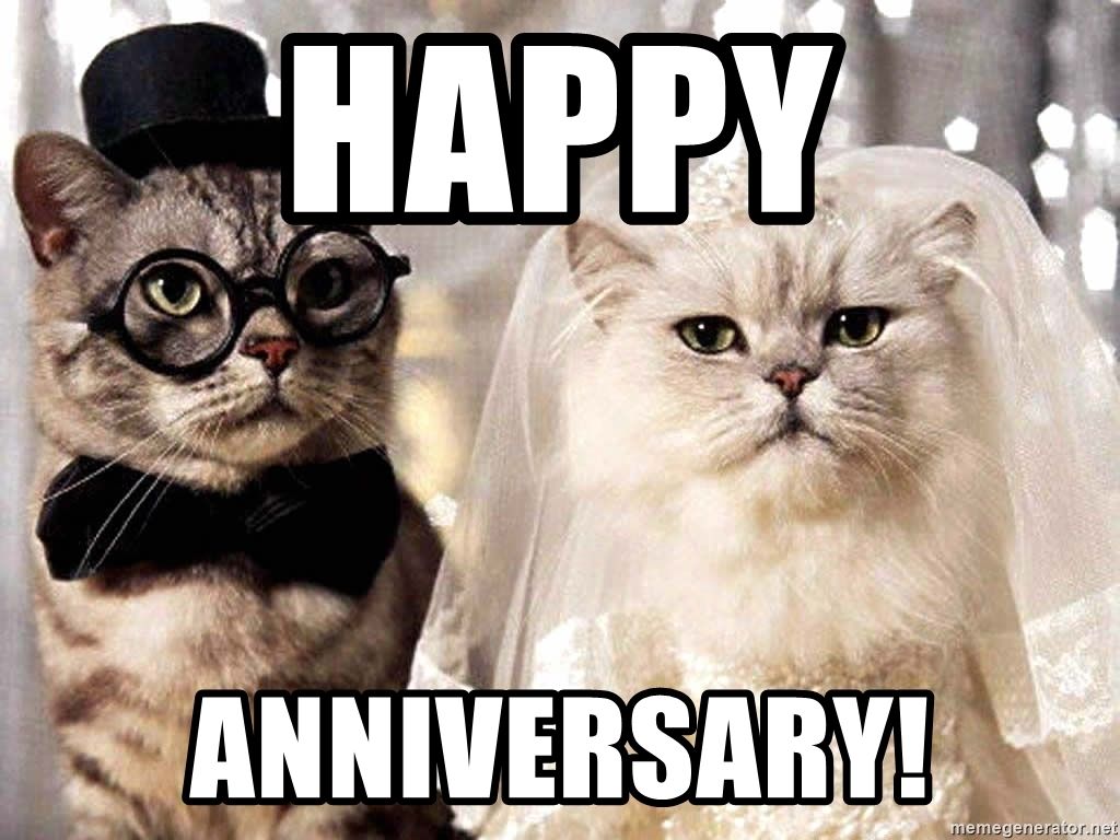 Featured image of post Happy Anniversary Cat Meme