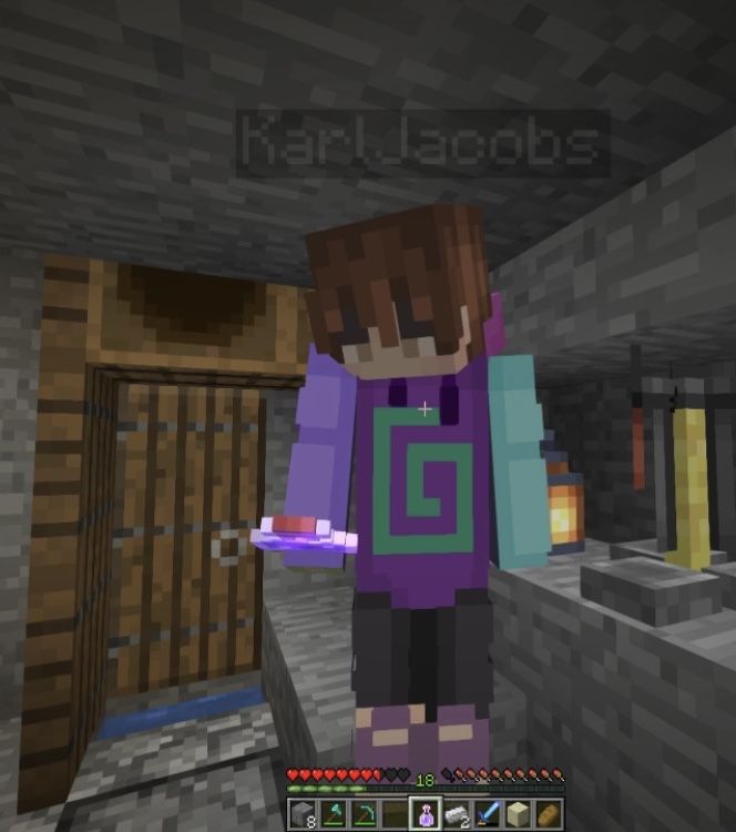 Featured image of post Karl Jacobs Minecraft Character