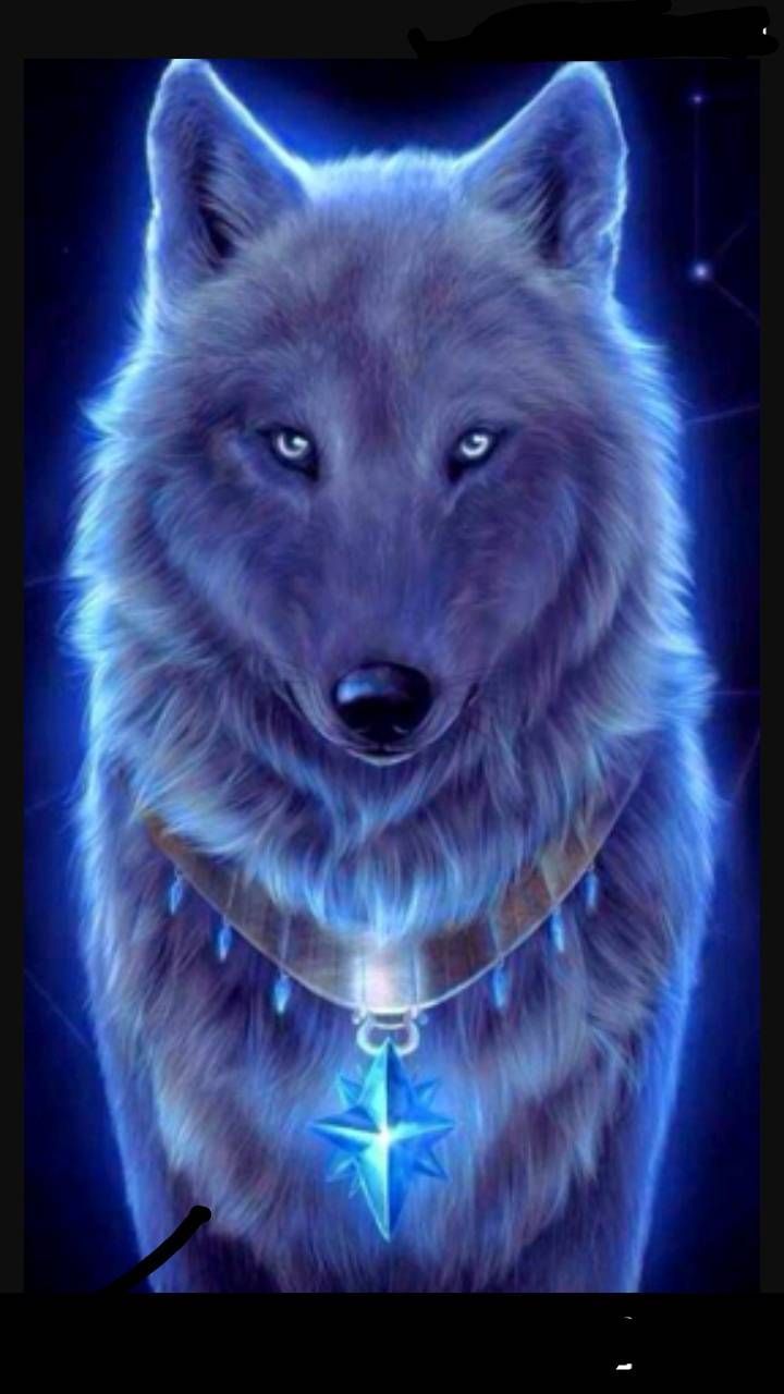 Featured image of post Mystical Galaxy Cool Wolf Wallpapers