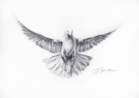 Featured image of post Realistic Dove Drawing Tattoo